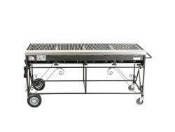 Grills, Ovens Stoves, and Rotisseries