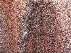 Glimmer Sequin Runner Colors