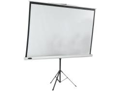 Projector Screen